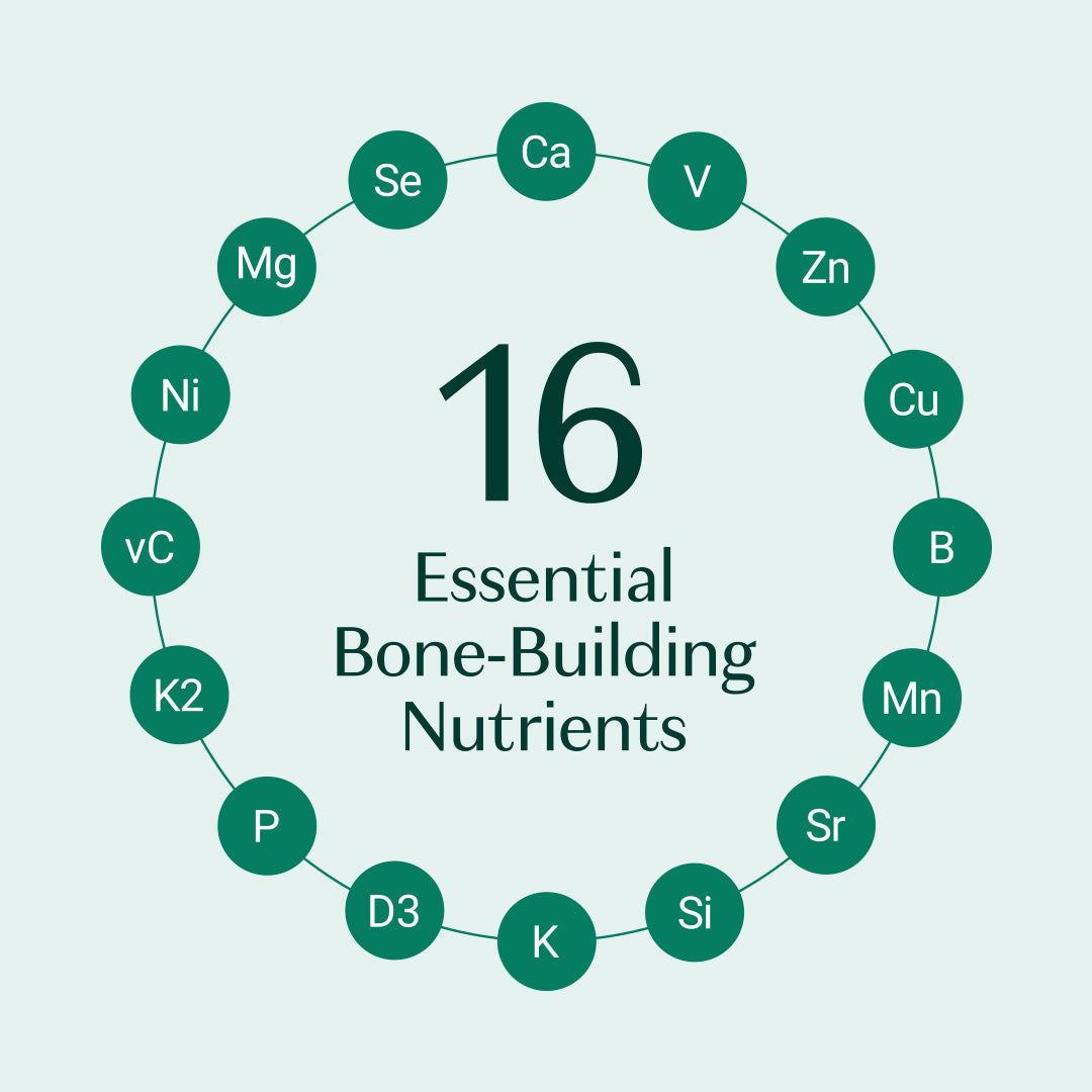 Bone Builder Pack
